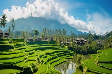 vol+hotel Circuit CIRCUIT RÊVERIE BALINAISE EN ROUE LIBRE - AVEC CHAUFFEUR Bali Denpasar