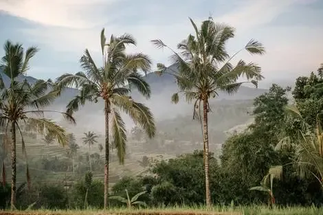 vol+hotel Circuit Sur la route des îles : Ubud Non référencé Bali Denpasar