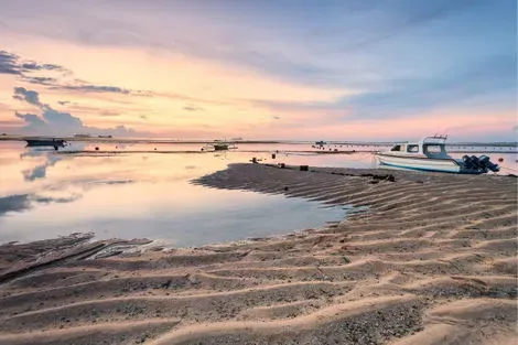 Bali : Circuit Combiné Jungle, Rizières et Sable de Bali