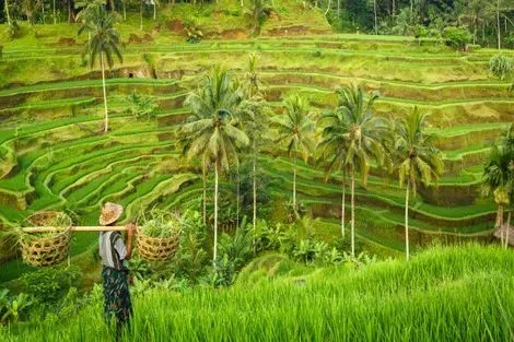 Bali-Denpasar, Circuit Merveilles de Bali
