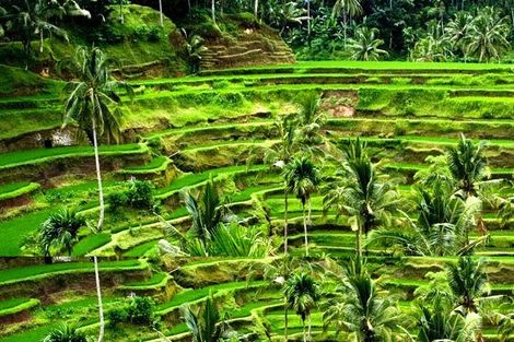Bali-Denpasar, Circuit Les Merveilles de Bali 4*