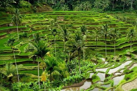 Bali-Denpasar, Circuit Soleil de Bali et ses plages 5*