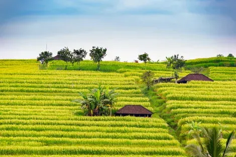 Bali-Denpasar, Circuit privatif Trio Balinais en 9 nuits 4*