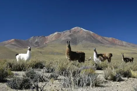 Bolivie-Santa Cruz, Circuit Incontournables de la Bolivie
