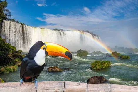 Bresil-Foz do Iguaçu, Circuit Au Coeur du Brésil