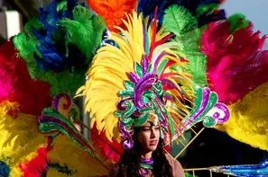 Bresil-Rio, Circuit Les Incontournables du Brésil - Spécial Carnaval de Rio