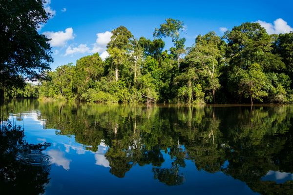 Bresil : Circuit Splendeurs du Brésil & séjour Amazonie - Limité à 18 pers.