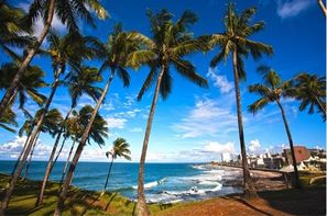 Bresil-Salvador De Bahia, Circuit Merveilles du Bresil