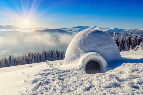 Canada-Montreal, Circuit Aventures dans le Grand Nord canadien 4*
