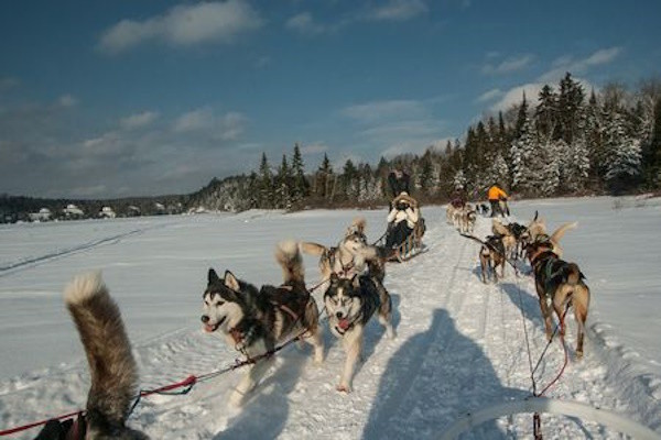 Canada : Circuit Splendeurs du Québec en hiver