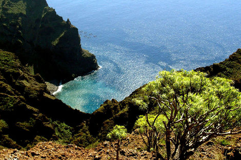 Canaries-Tenerife, Circuit Ténérife Saveur Nature 4*
