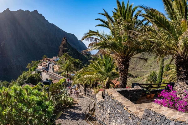 Canaries : Circuit Échappée sentiers de Ténérife depuis l'hôtel Riu Buenavista 4* - Arrivée Ténérife Nord