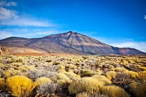 voyage van espagne Canaries : Circuit Tour Canario