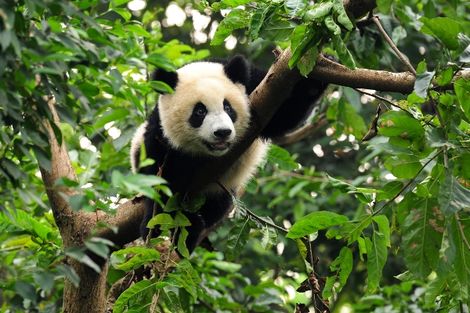 Chine-Pekin, Circuit Splendeurs de Chine & Extension Chine du sud et Hong Kong