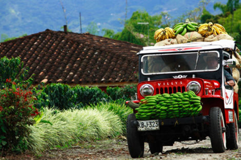 Colombie-Bogota, Circuit Premiers Regards Colombie