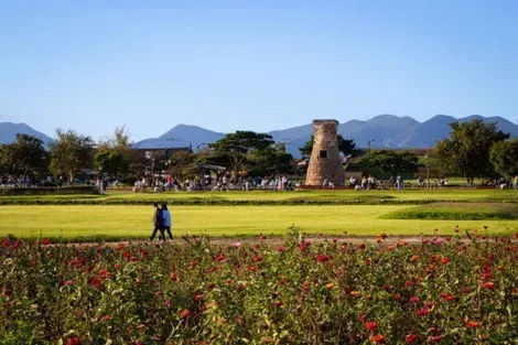 vol+hotel Circuit CIRCUIT EN LIBERTE EVASION ASIATIQUE COMBINE JAPON & COREE DU SUD EN 3* - 17 NUITS Coree Seoul