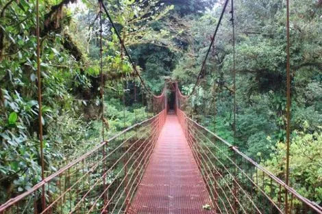 Costa Rica-San jose, Circuit Costa Rica, où la nature prend vie