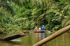 Costa Rica-San jose, Circuit Splendeurs du Costa Rica & extension au parc Manuel Antonio