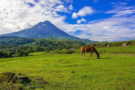 Costa Rica-San jose, Circuit Costa Rica sauvage, immersion en petit groupe