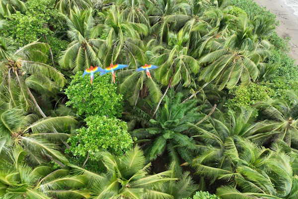 Costa Rica : Circuit Trésors du Costa Rica - Limité à 18 pers