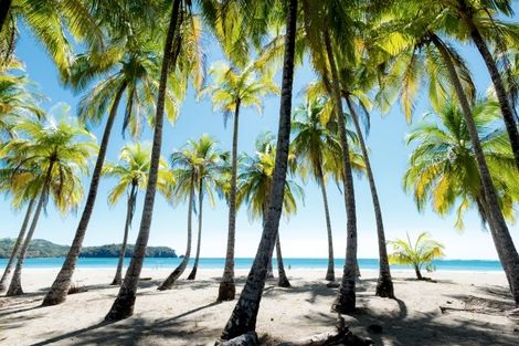 Costa Rica-San jose, Circuit Indispensable Costa Rica + extension plage