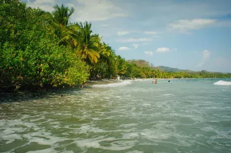 Costa Rica : Circuit Safari au Pays de l'Or Noir et plage de Samara