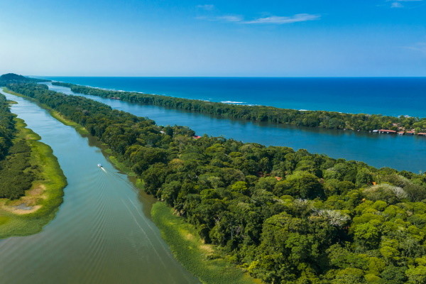 Costa Rica : Circuit Safari au Pays de l'Or Noir et Rincon de la Vieja
