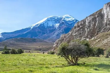 vol+hotel Circuit Splendeurs de l'Equateur & Séjour Galapagos - Limité à 18 pers. Non référencé Equateur Quito