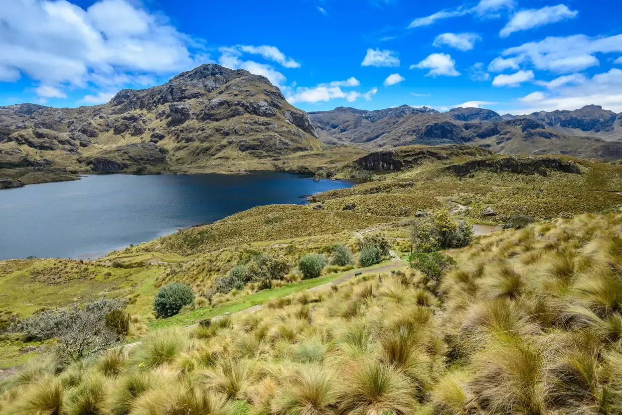 Equateur : Circuit L'Équateur entre nature et authenticité - (maximum 16 participants) - Vente Flash
