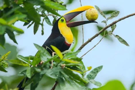 Equateur : Circuit Splendeurs de l'Equateur & Séjour Galapagos