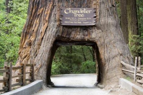 Etats-Unis-Los Angeles, Circuit Lumière des Grands Parcs