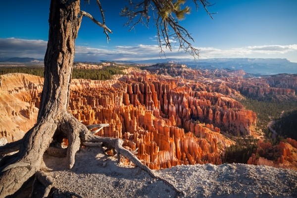 Etats-Unis : Circuit L'Ouest incontournable