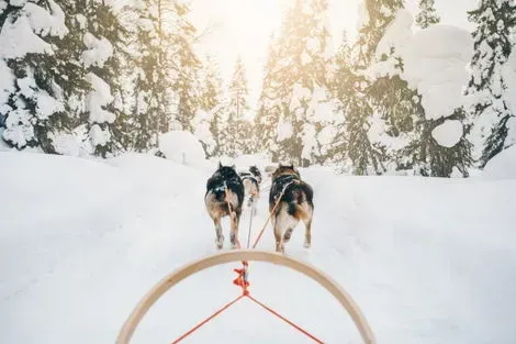 vol+hotel Circuit AVENTURE POLAIRE & IGLOO EN FINLANDE Finlande Helsinki