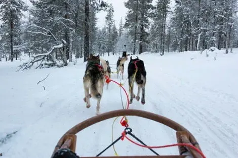 Finlande : Circuit Immersion polaire à Rovaniemi en famille
