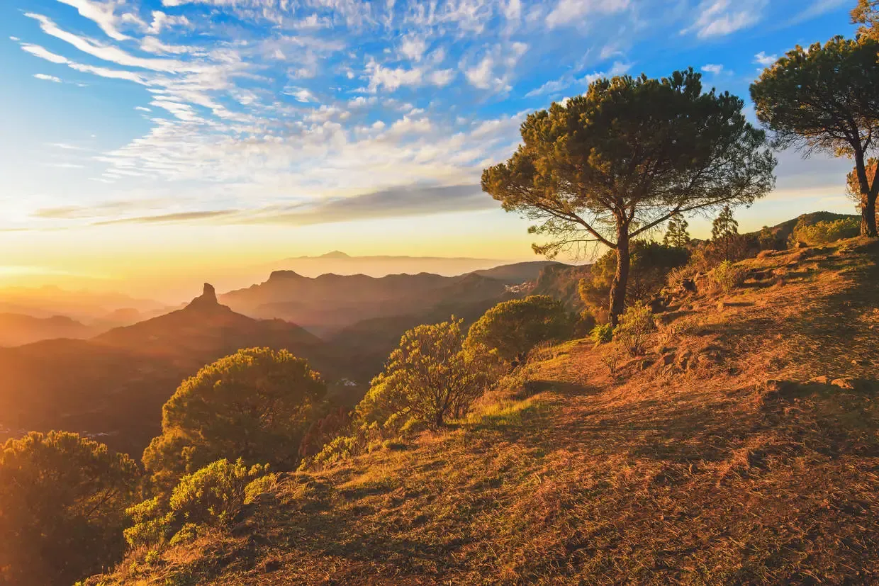 Grande Canarie : Circuit Charmes et nature de Grande Canarie