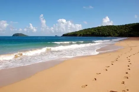 vol+hotel Circuit ÉVASION CARIBÉENNE : GUADELOUPE & DOMINIQUE Guadeloupe Pointe A Pitre