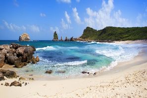 Guadeloupe-Pointe A Pitre, Nos amis gwadloupéens 3*