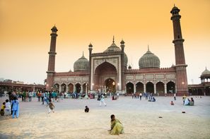 Inde-Delhi, Circuit Privatif Inde en Liberté 3*