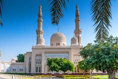 Inde-Delhi, Circuit Sur la Route du Taj Mahal et Dubaï 3*