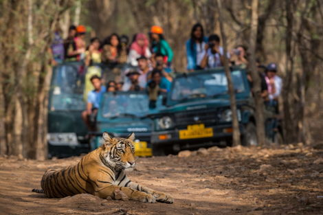 Inde-Delhi, Circuit Du Taj Mahal à Ranthambhore 3*