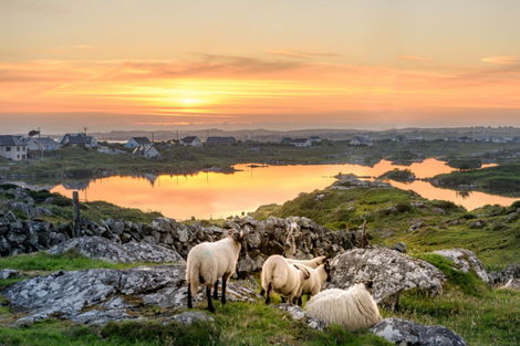 Irlande : Circuit Balade Irlandaise en petit groupe