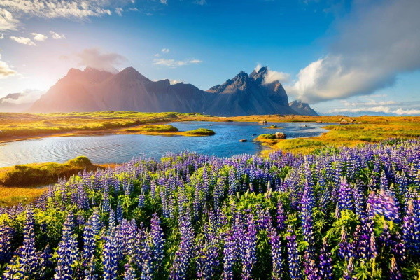 Islande : Circuit Aventure Islandaise