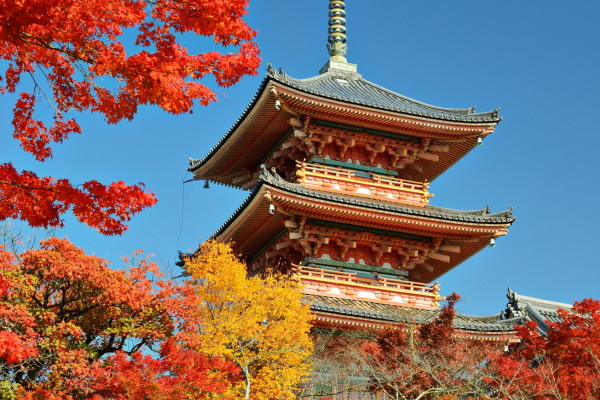 Japon : Circuit Capitales Nippones en Liberté & Ryokan, de Kyoto à Tokyo