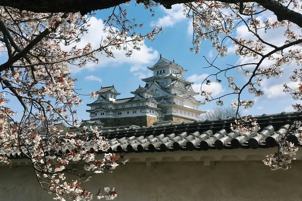 Japon : Circuit Japon, au fil des temples, des onsens et des cités