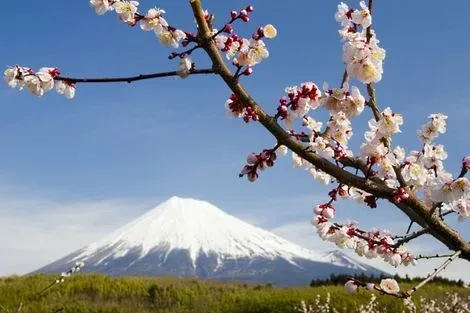 Japon-Osaka, Circuit Les Incontournables du Japon