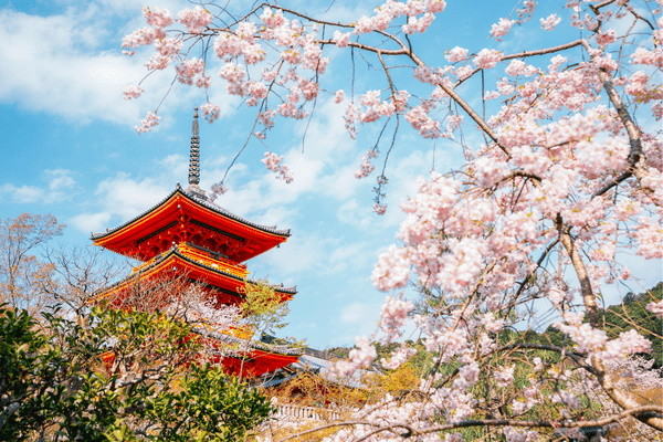 Japon : Circuit Sur les pas des Samouraïs et extension Nikko