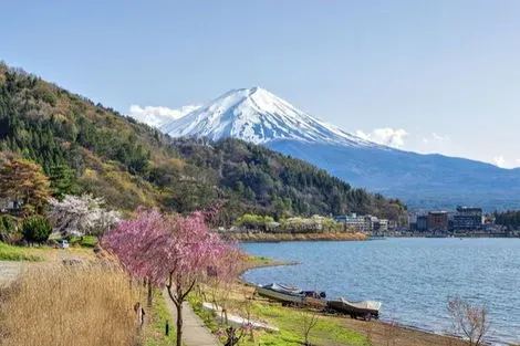 vol+hotel Circuit IMMERSION AU JAPON EN TRANSPORTS LOCAUX & EXTENSION TOKYO - Limité à 12 pers. Japon Osaka