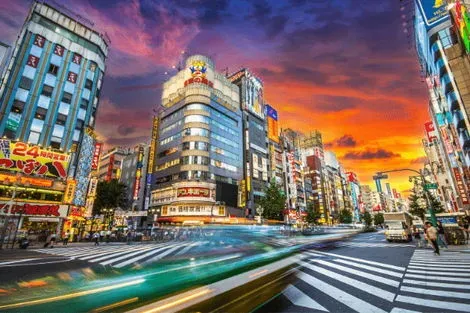 Japon : Circuit Mangas, Capitales et Ryokan, le Japon en Famille et Liberté