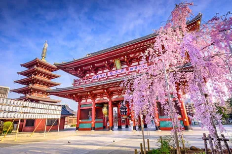 vol+hotel Circuit Voyage en liberté 3* Japon Tokyo
