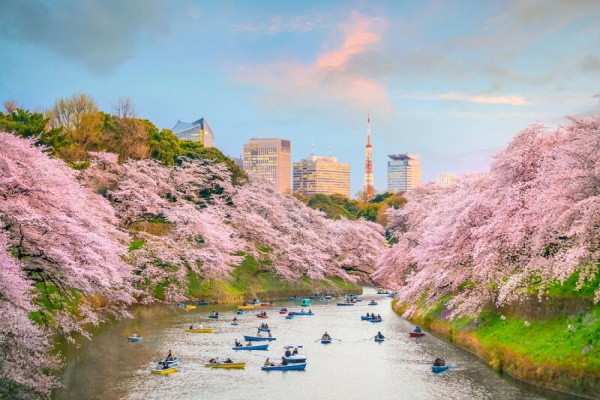 Japon : Circuit City Break Tokyo
